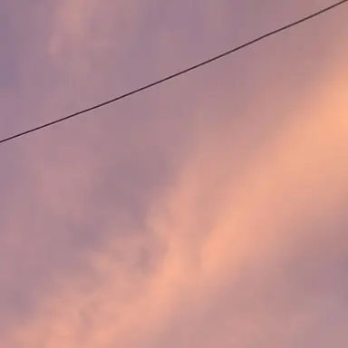 Profile image of 금비