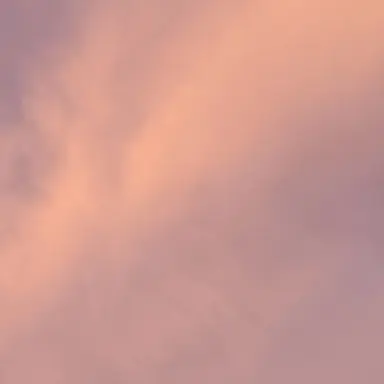 Profile image of 나른