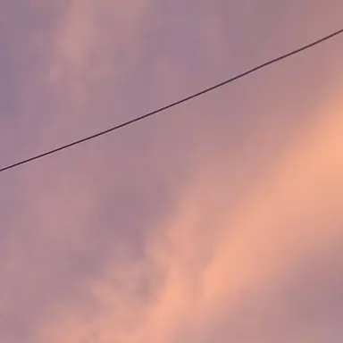 Profile image of 집사