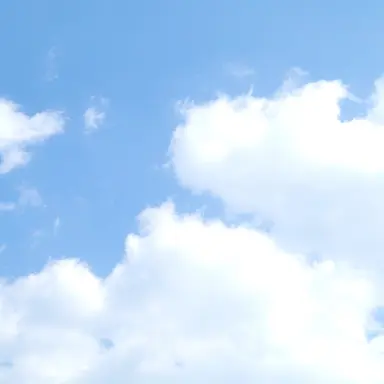 Profile image of 망묘