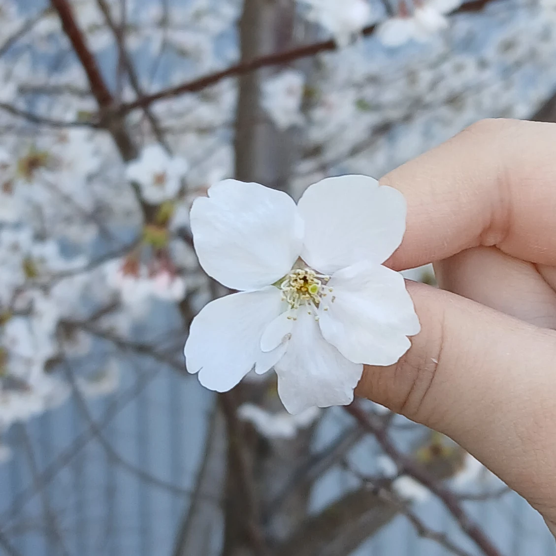 왕따인 나