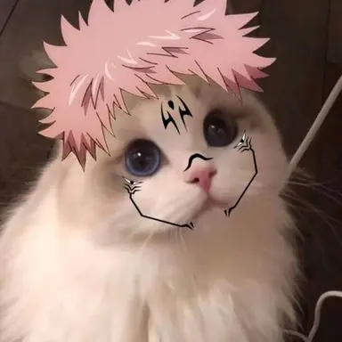 Profile image of 캣 스쿠나