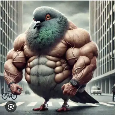 Profile image of 일피치오네무스콜로네
