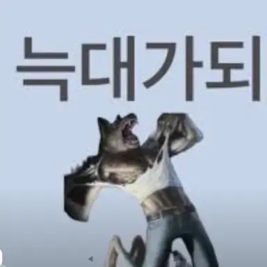 Profile image of 악늑대