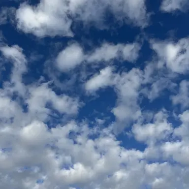 Profile image of 지선