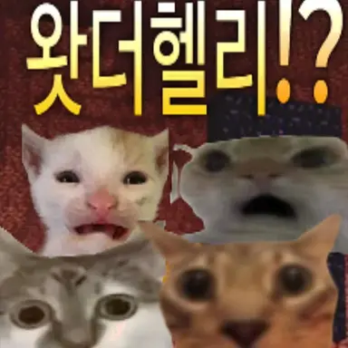 Profile image of 황정현