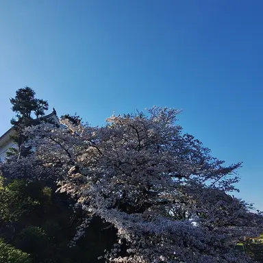 Profile image of 祐希