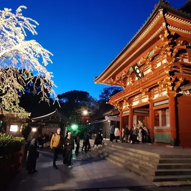 Profile image of 有紀