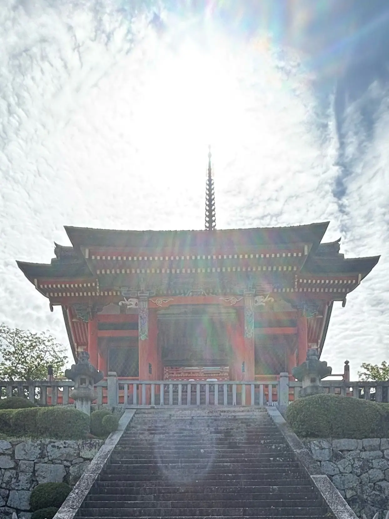 143wanko의 家族