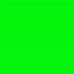 BraveMule7882의 안곰tv(나를 부탁해!)