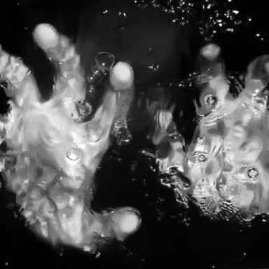 Profile image of 로완 블랙