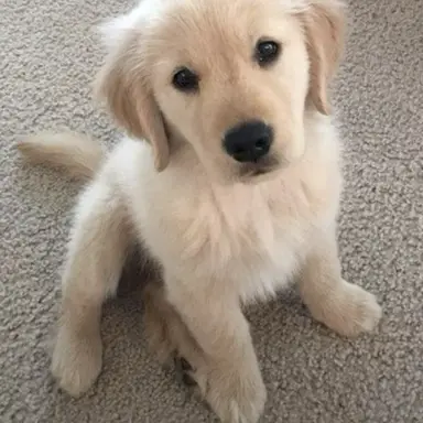 Profile image of 하루