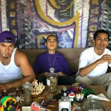 Profile image of Sapo