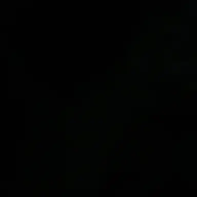 Profile image of 아이브