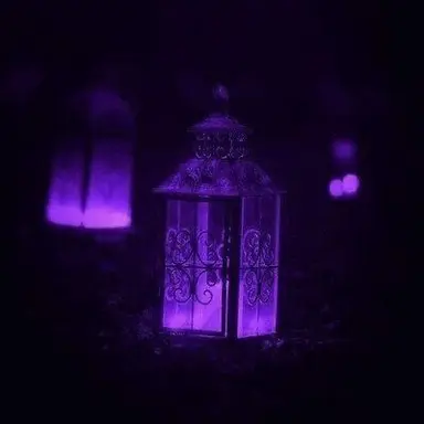 Profile image of 오토 레이니