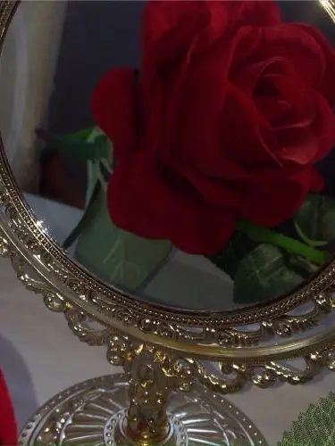 plliessie의 도은호