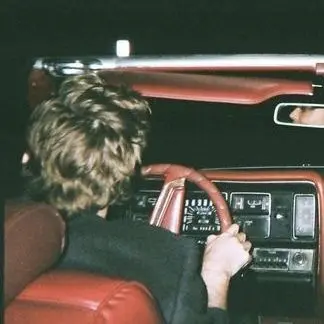 Profile image of Steve