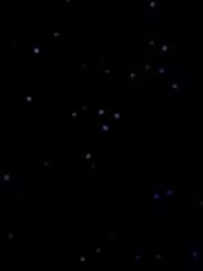 pretty862의 하루 - 공포 탈출(벌칙)