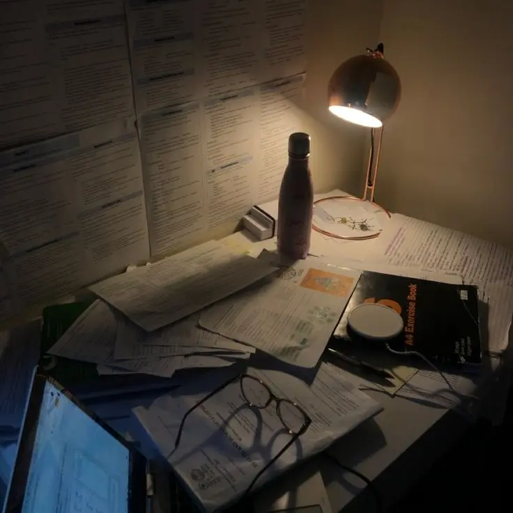 Lemonttree의 선생님들 talk