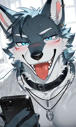 Profile image of ヘイブ