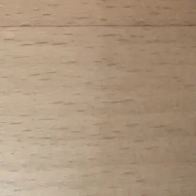 Profile image of 玲央