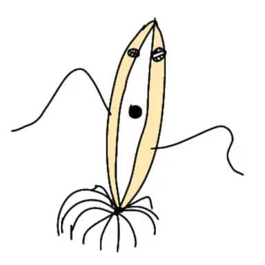 Profile image of 変な生き物1と2