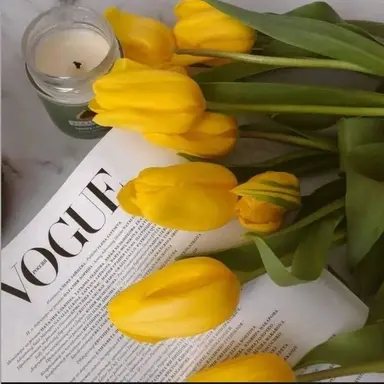 Profile image of 쪼만