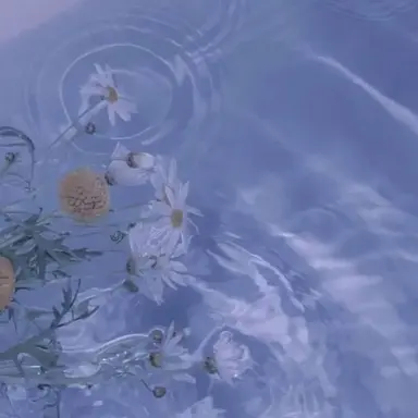 Profile image of 파이브