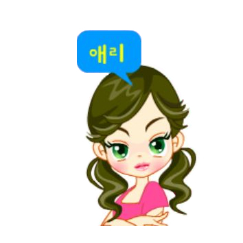 화려한 애리 대표 이미지