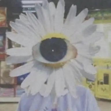 Profile image of 다일리