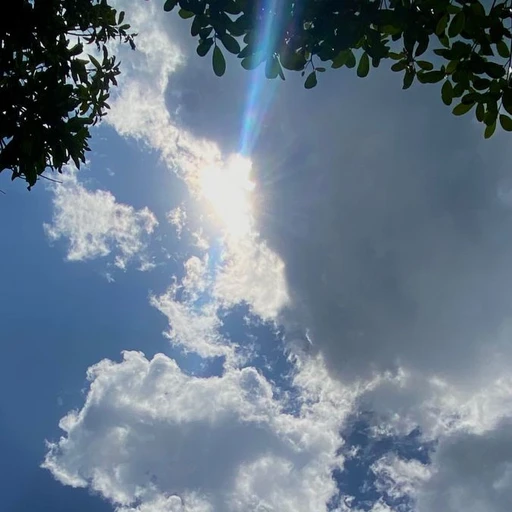 찐친 고민상담