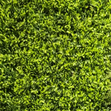 Profile image of 싸이코드 가족