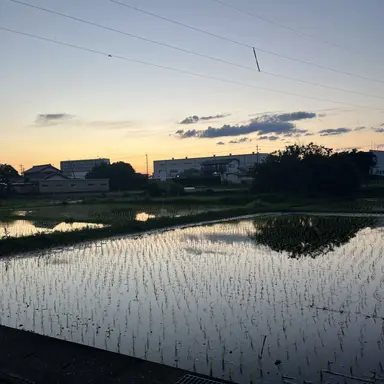 Profile image of 原平助