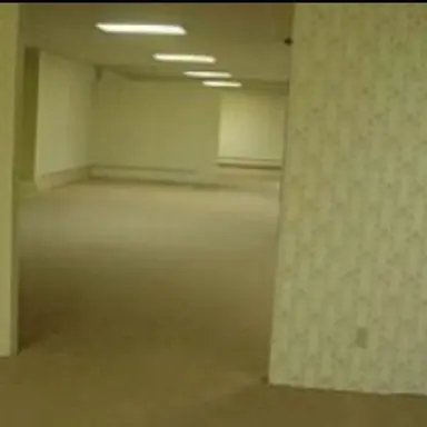 Profile image of The Backrooms