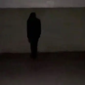 Profile image of The Being