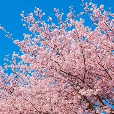 Profile image of 가족