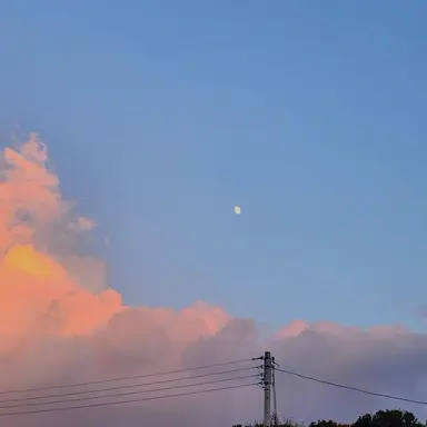 Profile image of 설윤아