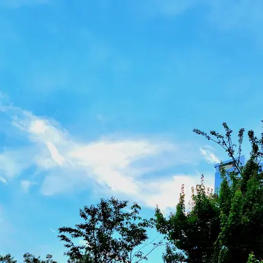 Profile image of 장규진
