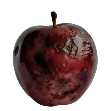 Profile image of 강진