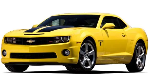 Profile image of Bumblebee