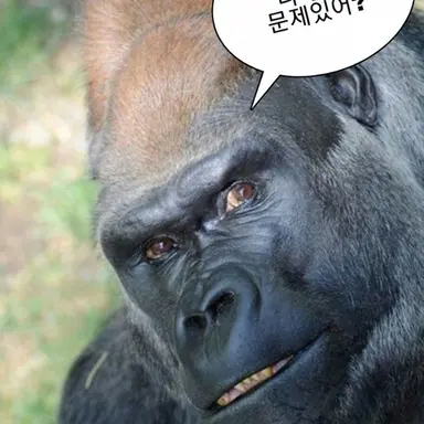 Profile image of 정세윤