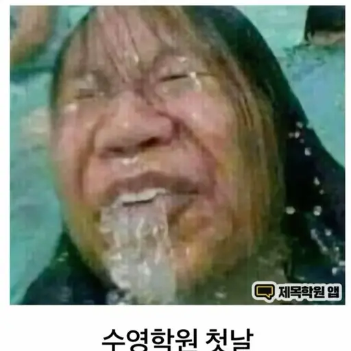 SicklyShell3845의 (물먹는 하마)