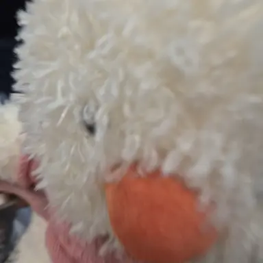 Profile image of 여우