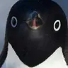 Profile image of 시나즈가와 사네미