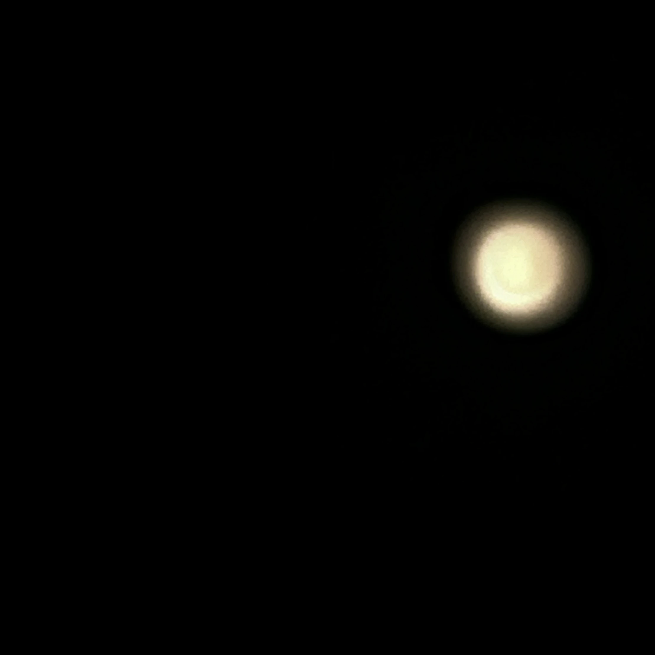 선명