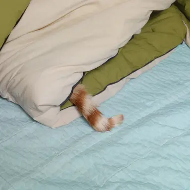 Profile image of 개체1