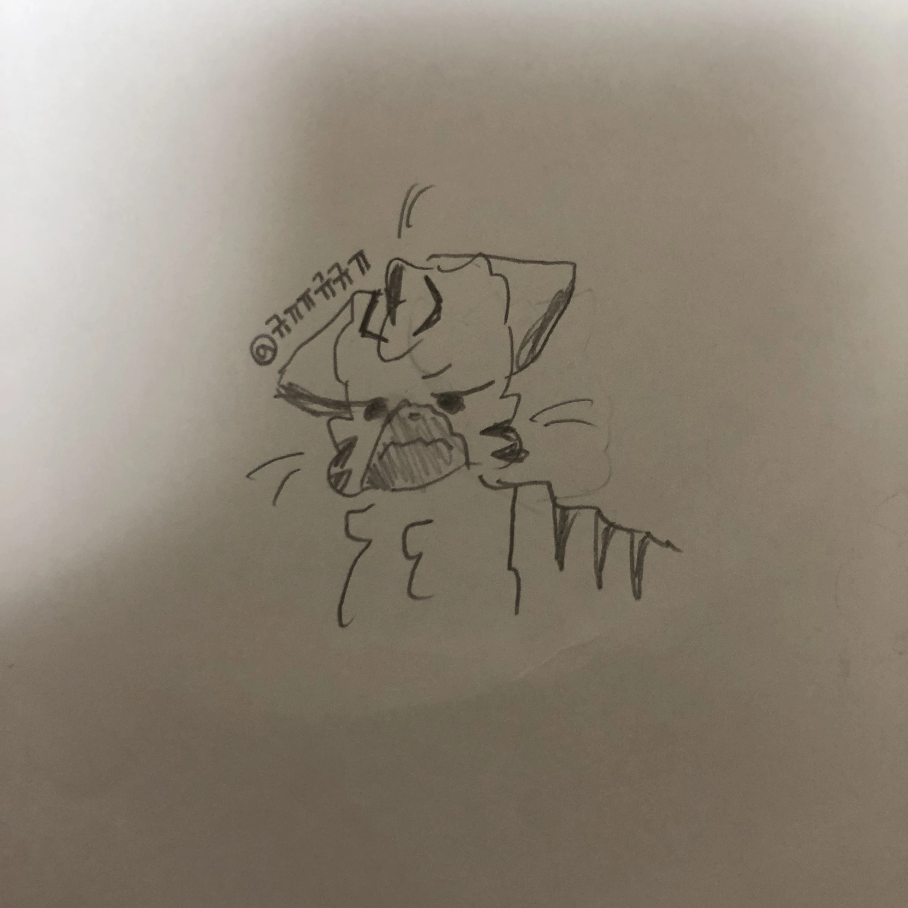 길냥이