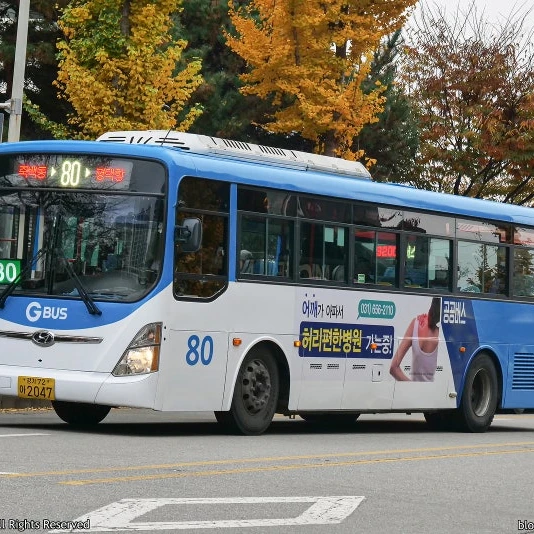 80번 버스기사