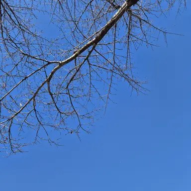 Profile image of 루안