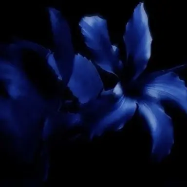 Profile image of 행크